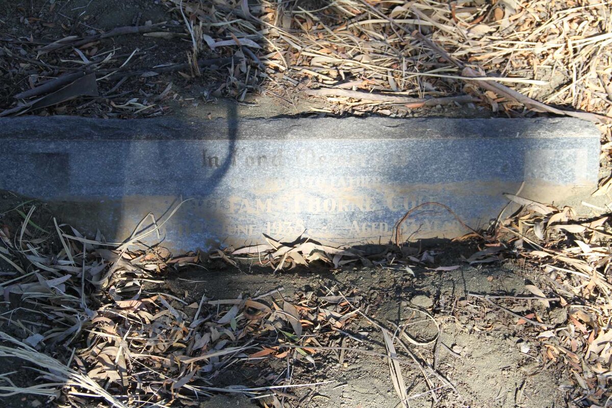 COLE William Thorne  -1938