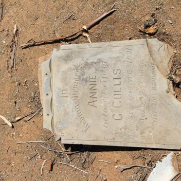 CULLIS Annie Carlisle -1891