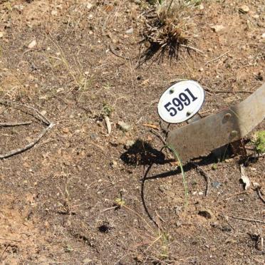 DRESSELS Willie  -1917