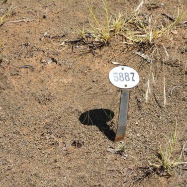 DAMON Sophia Louisa  -1916