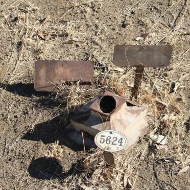 DEDRICK Eileen Anna -1911