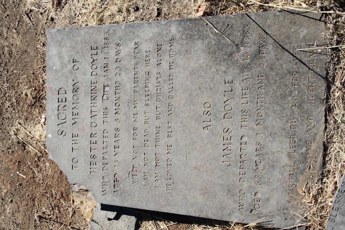 DOYLE James -1883 :: DOYLE Hester Cathrine -1883