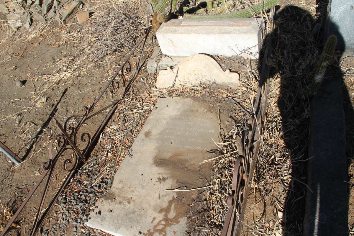 FARR Leo George  -1918