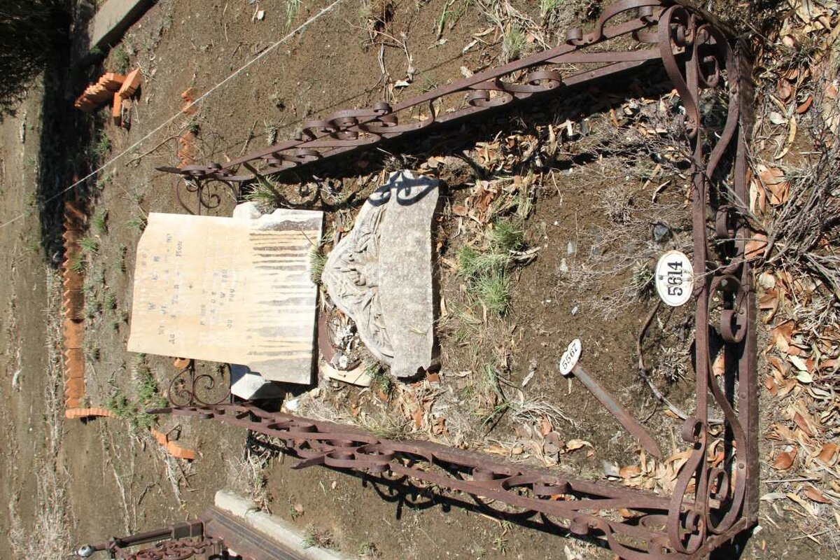 FREEMAN Harriet Ellen -1911