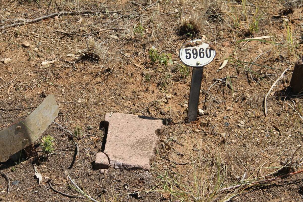 FRAUSCH David John  -1917