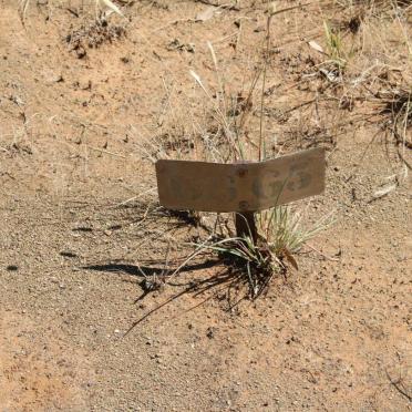 FELANDER Christine Frances -1925 :: FELANDER Joseph -1925