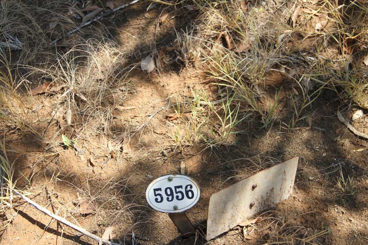 HOPLEY Cecil John -1917