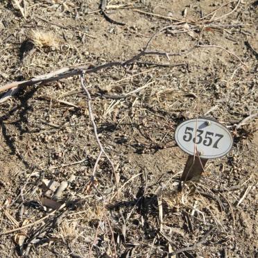 JOHNS Joseph Henry -1908