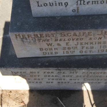 JENKINS Herbert Scaife 1894-1918