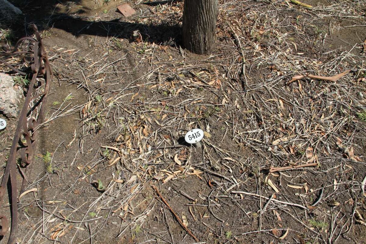 MARSENKAMP Christina Johanna -1908