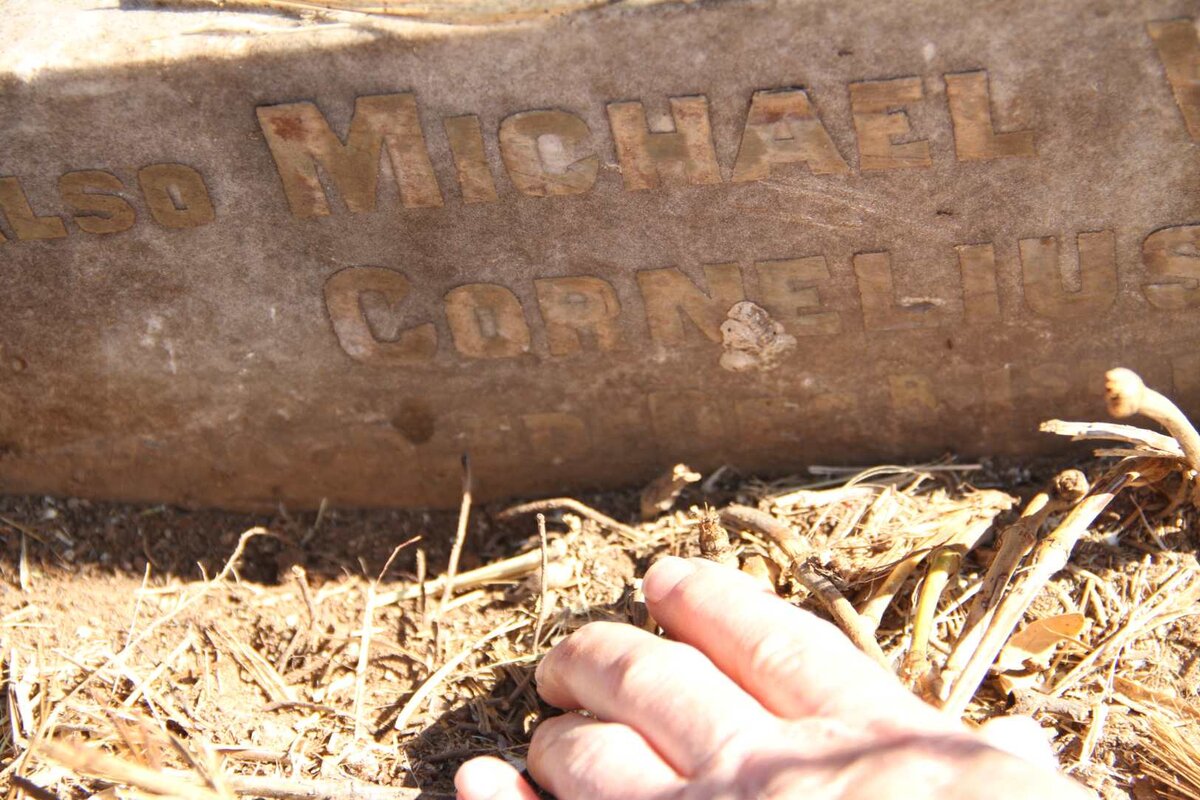 MULLER Carl Frederick William 1829-1879 :: PENTZ Michael William