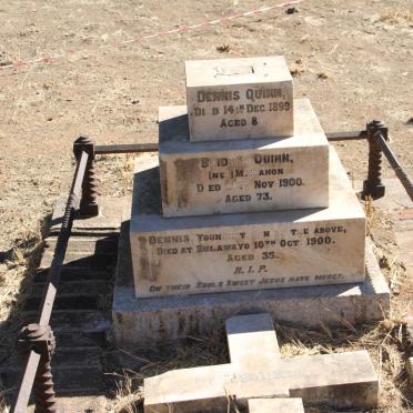 QUINN Dennis -1899 &amp; Bridgid MCMAHON -1900 :: QUINN Dennis -1900