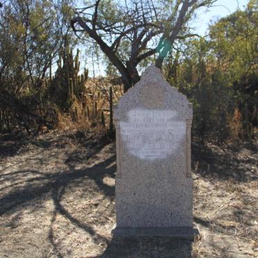 SPARGO John Henry  -1886