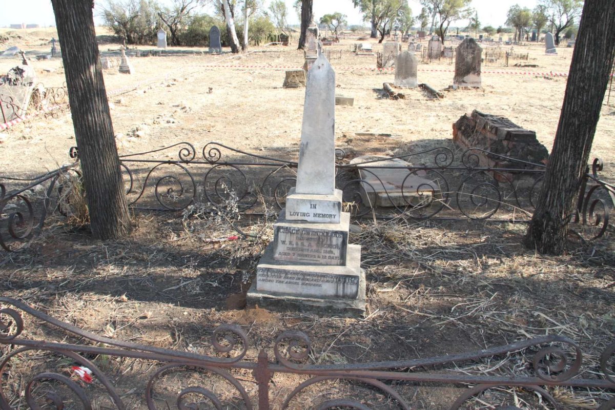 TUCKER Grace Gwendoline  -1888