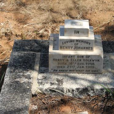 VOLKWYN Henry Johannes 1918-1919