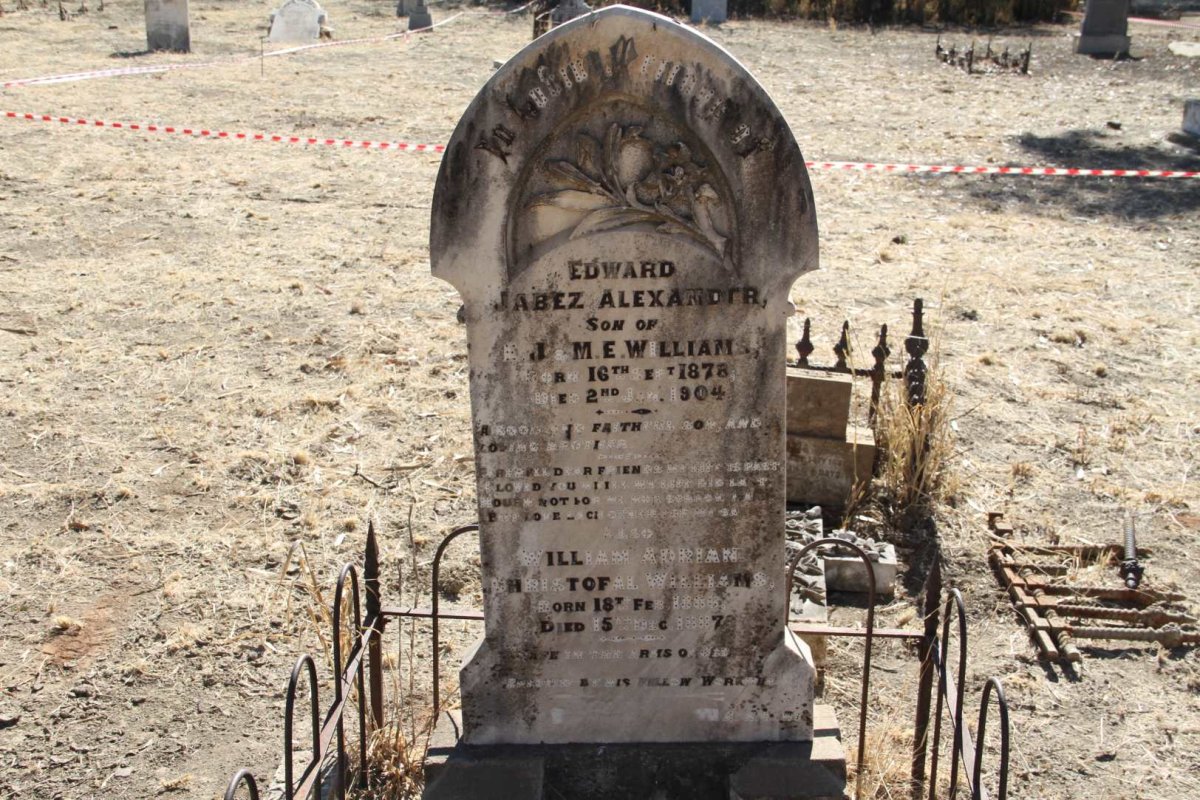 WILLIAMS Edward Jabez Alexander 1878-1904 :: WILLIAMS William Adrian Christofal 1886-1887