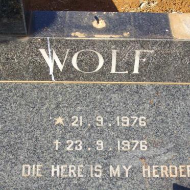 WOLF ? 1976-1976
