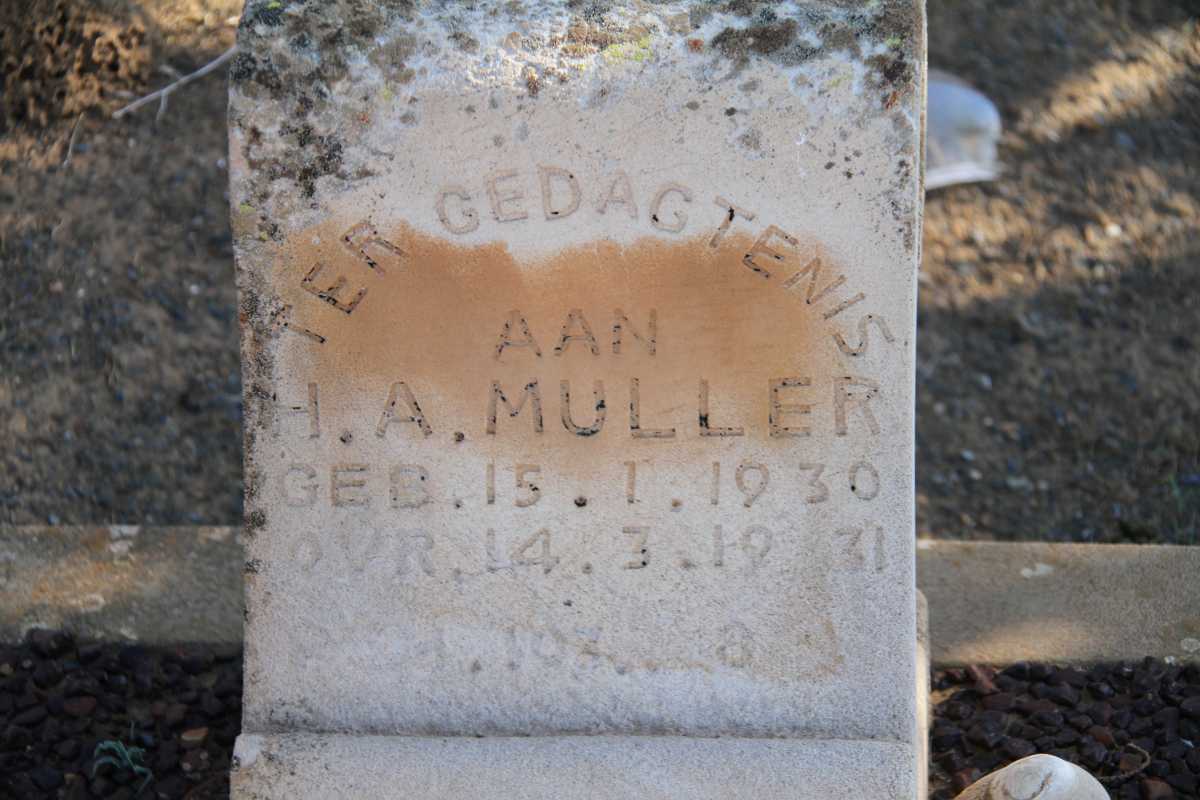 MULLER H.A. 1930-1931