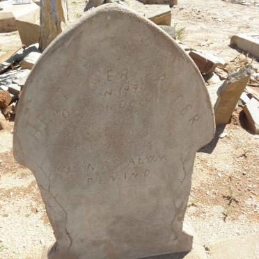 VORSTER Hester 1890-1911