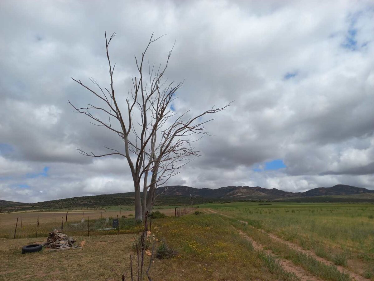 1. Overview / Oorsig