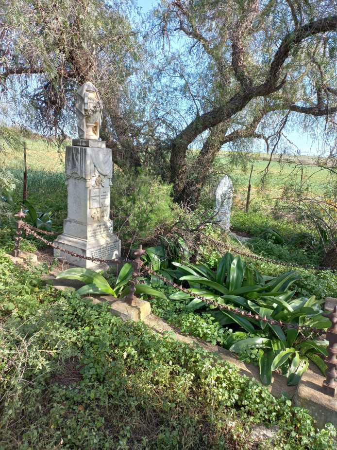 2. Overview / Oorsig