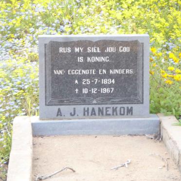 HANEKOM A.J. 1894-1967