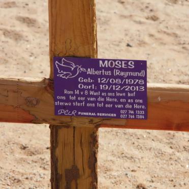 MOSES Albertus 1978-2013