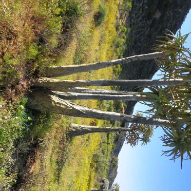 3. Overview / Oorsig