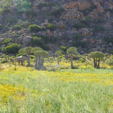 2. Overview / Oorsig