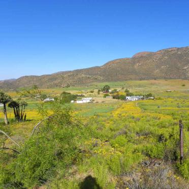 1. Overview / Oorsig