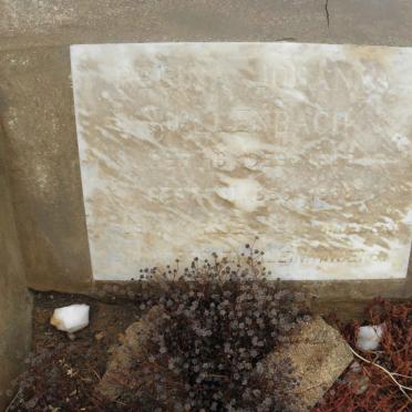 HOLLENBACH Regina Johanna 1886-1958