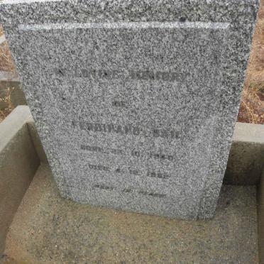 BAM Ferdinand 1940-1962