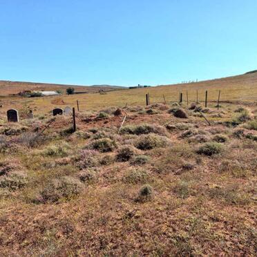 1. Overview / Oorsig