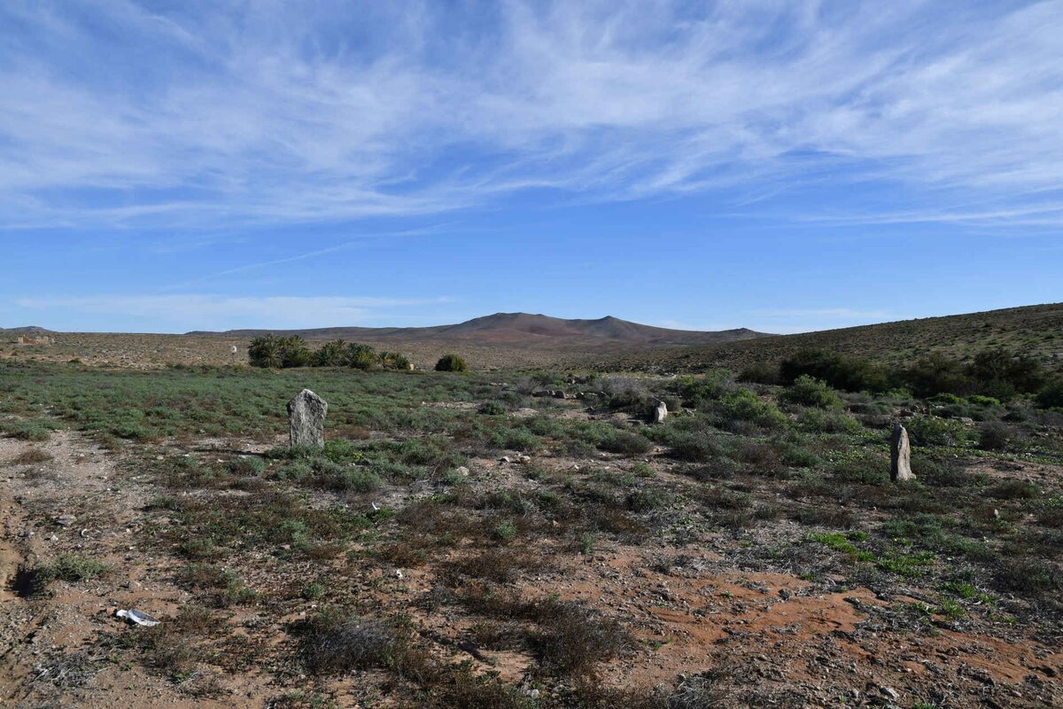 1. Oorsig / Overview