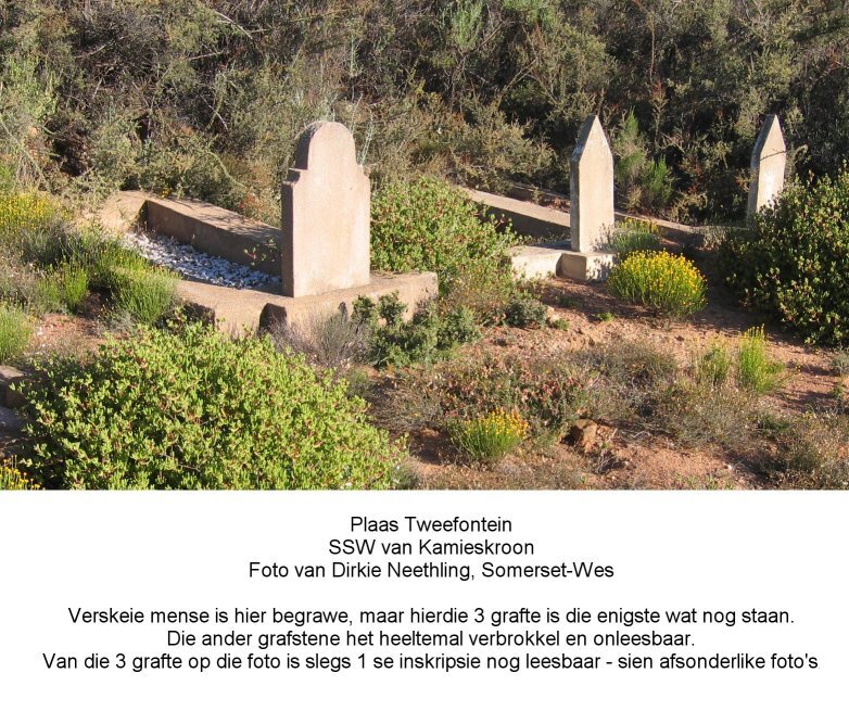 1. Tweefontein Grafte