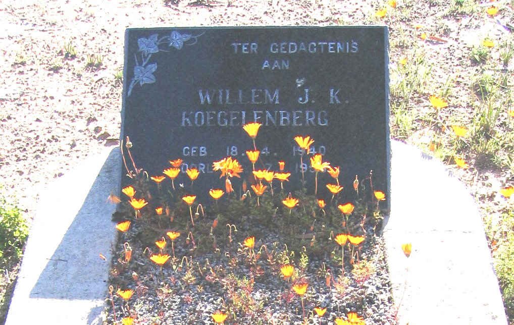 KOEGELENBERG Willem J. 1940-195?