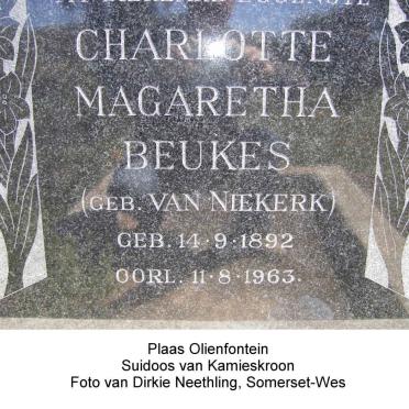 Northern Cape, NAMAQUALAND district, Kamieskroon, Olienfontein, farm cemetery