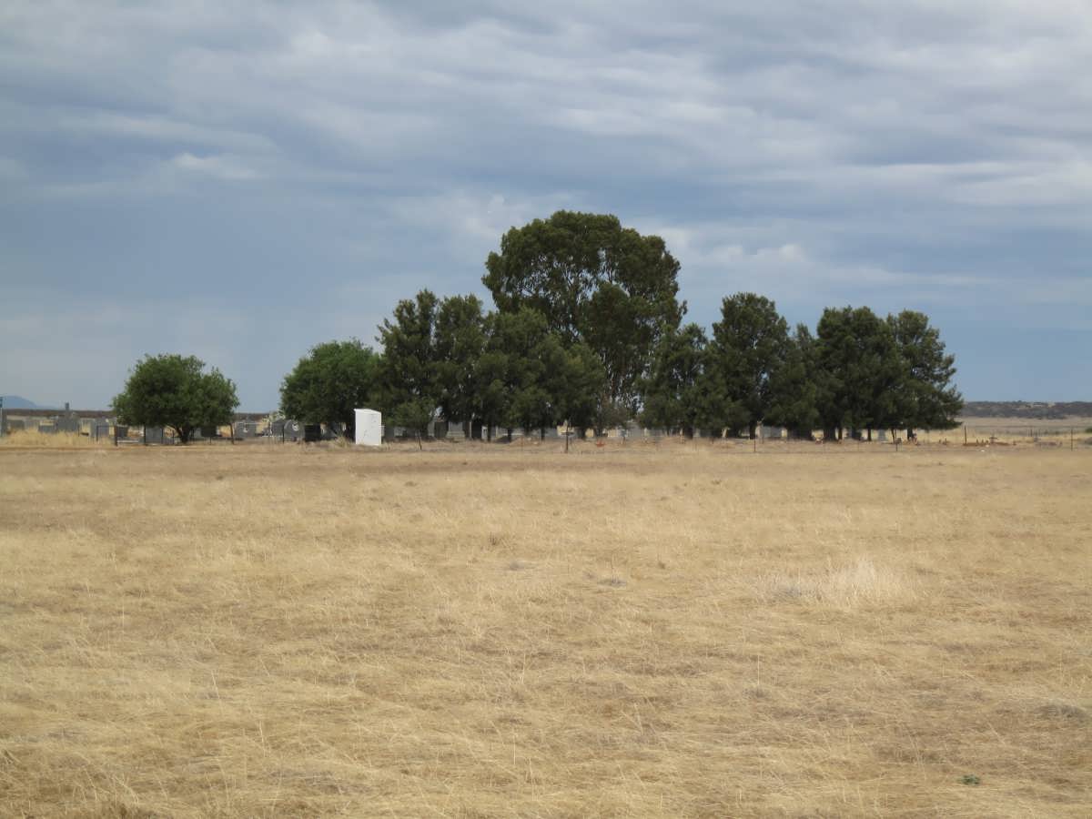 1. Overview of cemetery