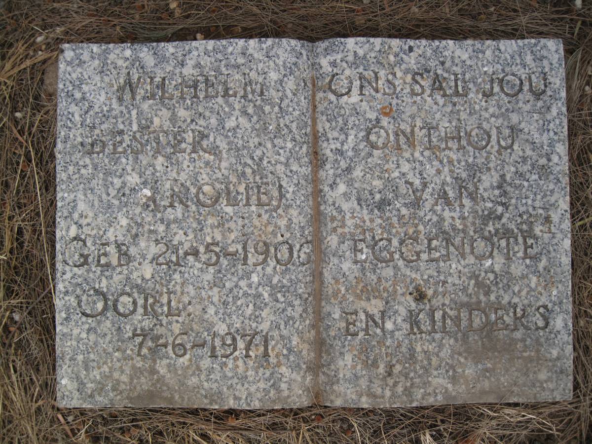 BESTER Wilhelm 1906-1971