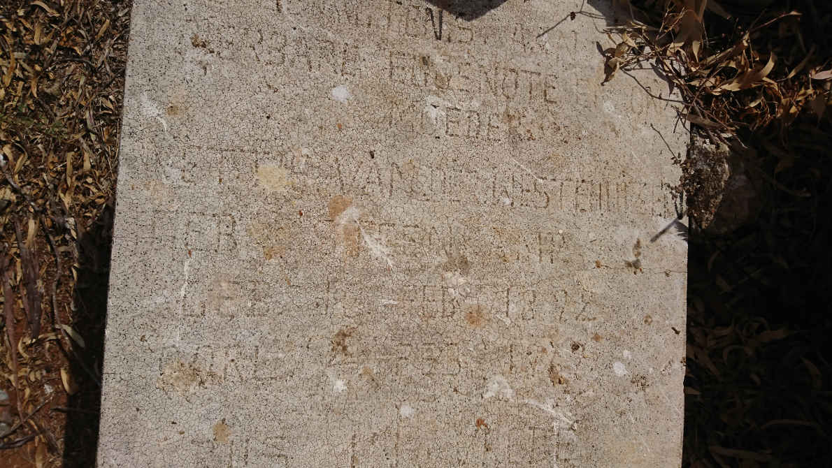 WESTHUIZEN Nettie, van der nee STEENKAMP 1892-19??