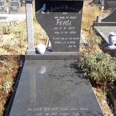 HEERDEN Ferdi, van 1973-1988