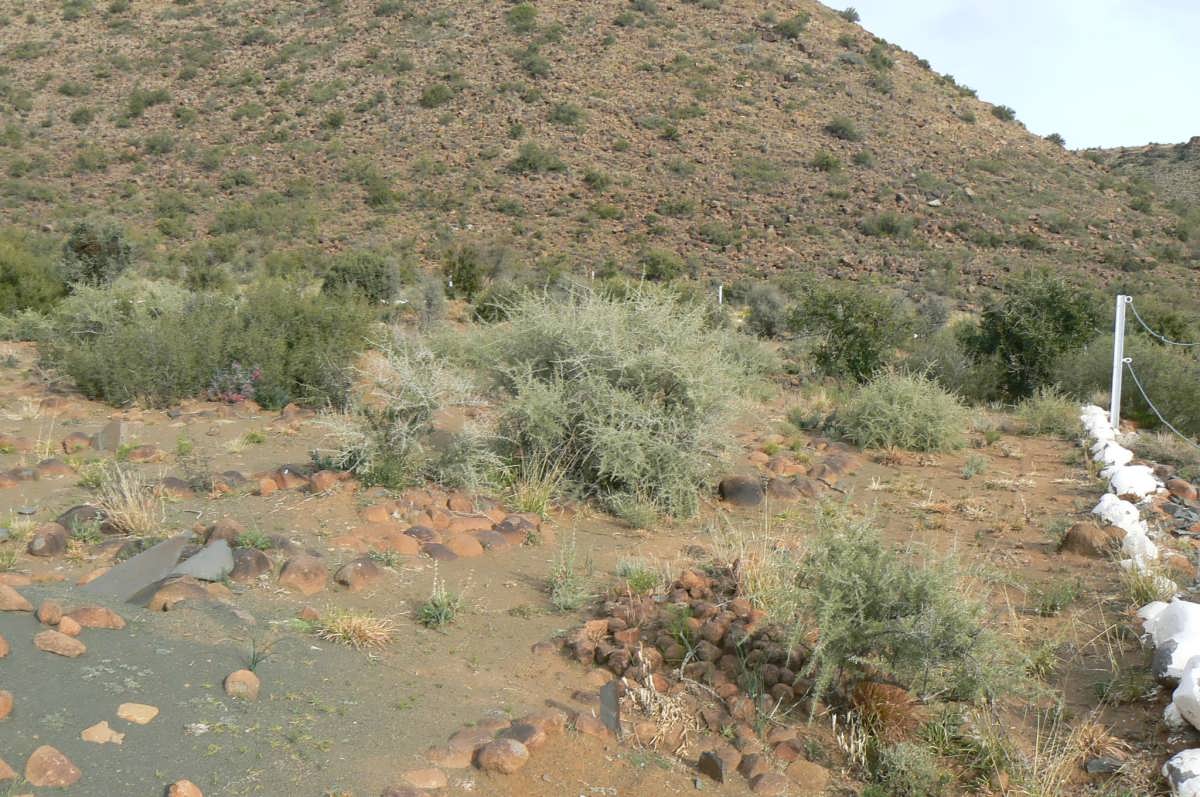 3. Petrusville Begraafplaas oorsig