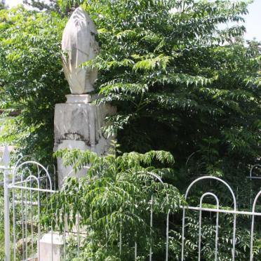 LOUW Schalk Willem 1864-1903 