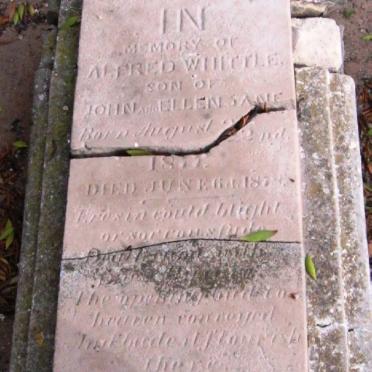 WHITTLE Alfred 1877-1878