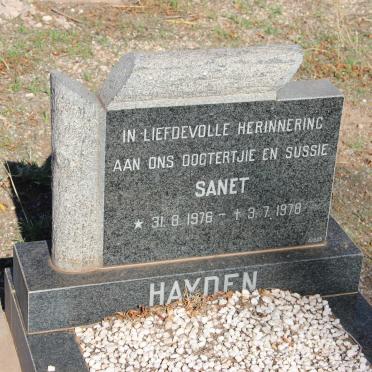 HAYDEN Sanet 1976-1978
