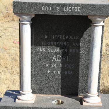 WALT Adri, van der 1965-1988