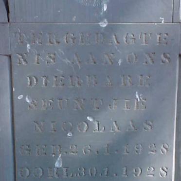 WALT Nicolaas, van der 1928-1928