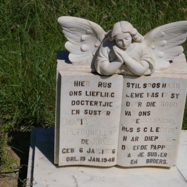 Northern Cape, PRIESKA district, Soutpan,  Zoutpan 78, farm cemetery