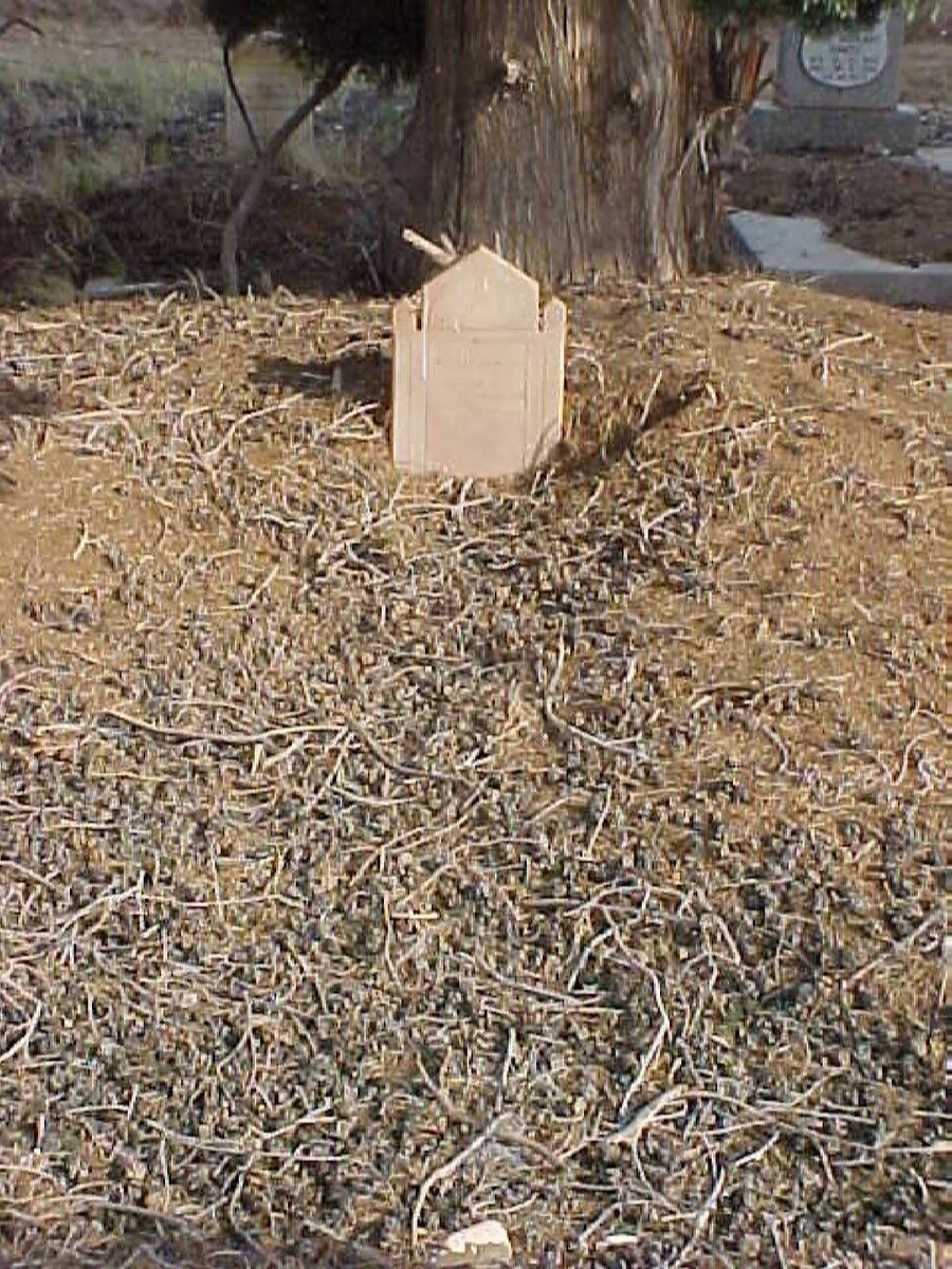 MANS Maria J. 1871-1932