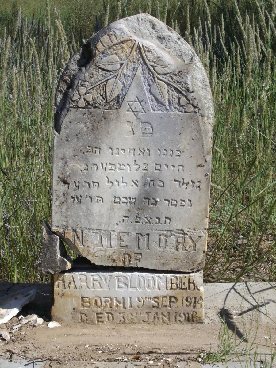 BLOOMBERG Harry 1914-1916